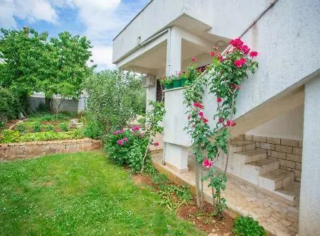 Apartman Leo * Musalez