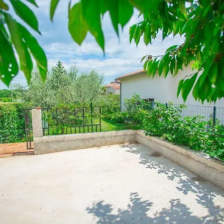 Apartman Leo * Musalez