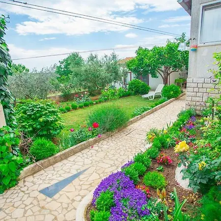 Apartman Leo * Musalez