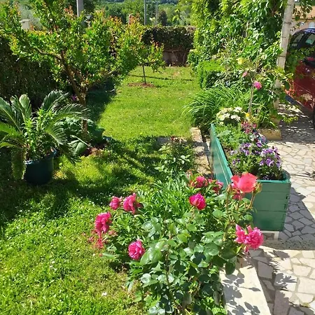 Apartament Apartman Leo Musalez